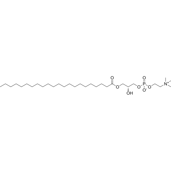 1-Docosanoyl-sn-glycero-3-phosphocholine 125146-65-8